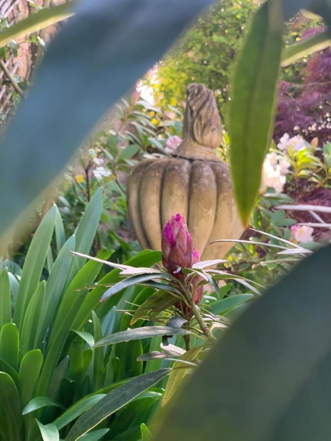 Cote Jardin Bed and Breakfast Sainte-Suzanne  Εξωτερικό φωτογραφία