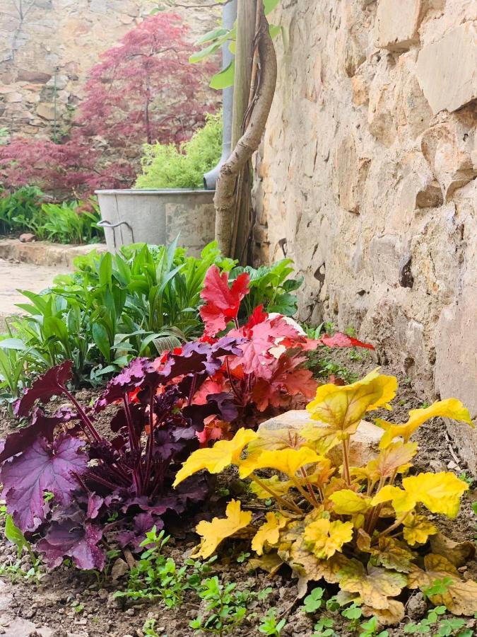 Cote Jardin Bed and Breakfast Sainte-Suzanne  Εξωτερικό φωτογραφία