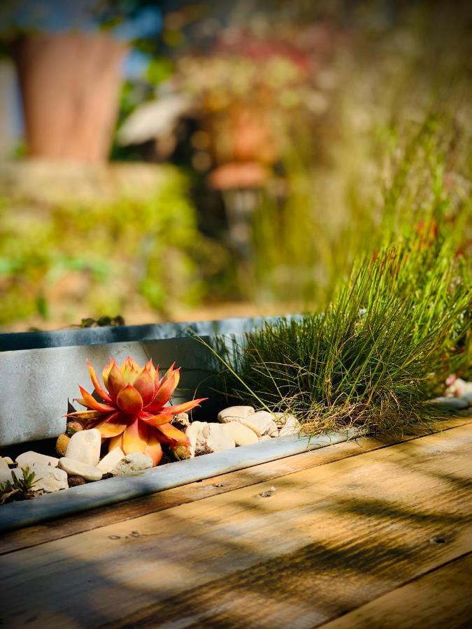 Cote Jardin Bed and Breakfast Sainte-Suzanne  Εξωτερικό φωτογραφία